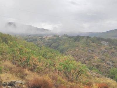 Riaza a la Ermita de San Benito y el río Riaza; ruta de senderismo madrid buitrago de lozoya fotos s